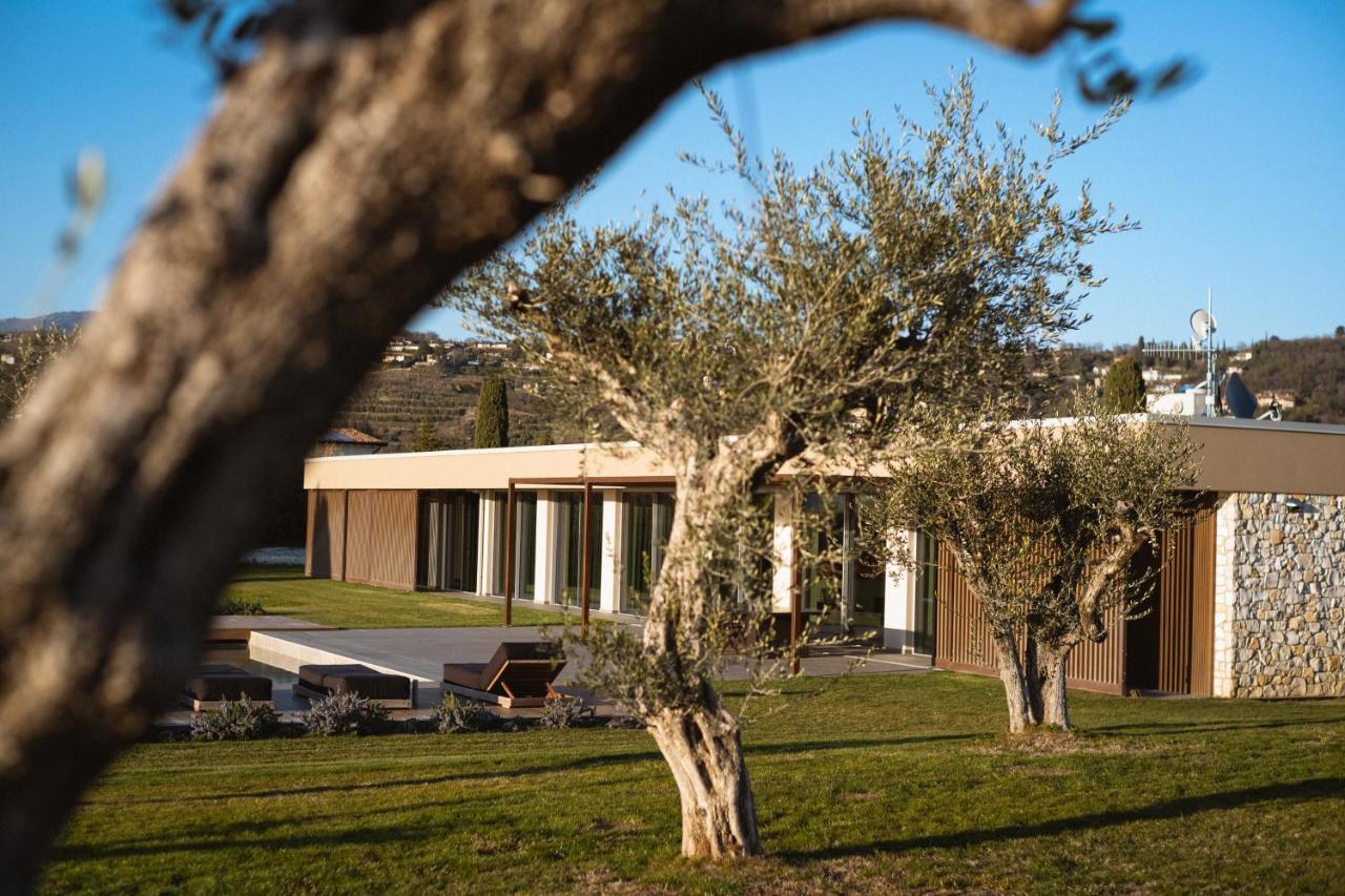 Residenza Cavaion Villa Calmasino Kültér fotó